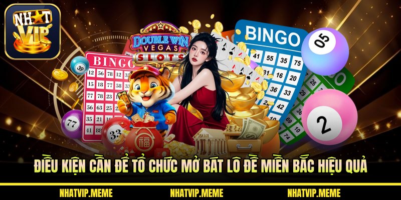 Điều kiện cần để tổ chức mở bát lô đề miền Bắc hiệu quả