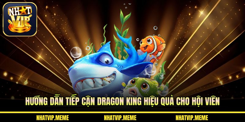 Hướng dẫn tiếp cận Dragon King hiệu quả cho hội viên