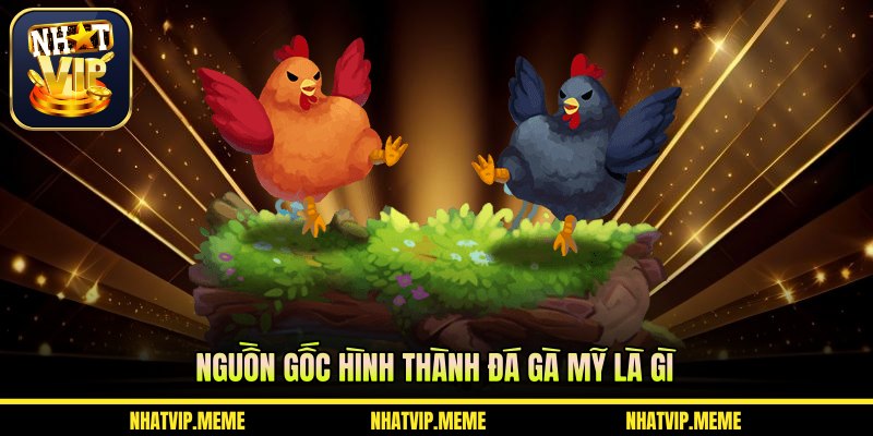 Nguồn gốc hình thành đá gà Mỹ là gì