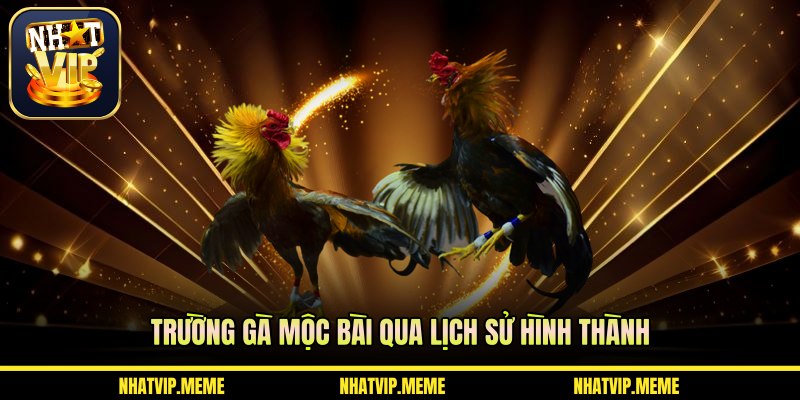 Trường gà Mộc Bài qua lịch sử hình thành