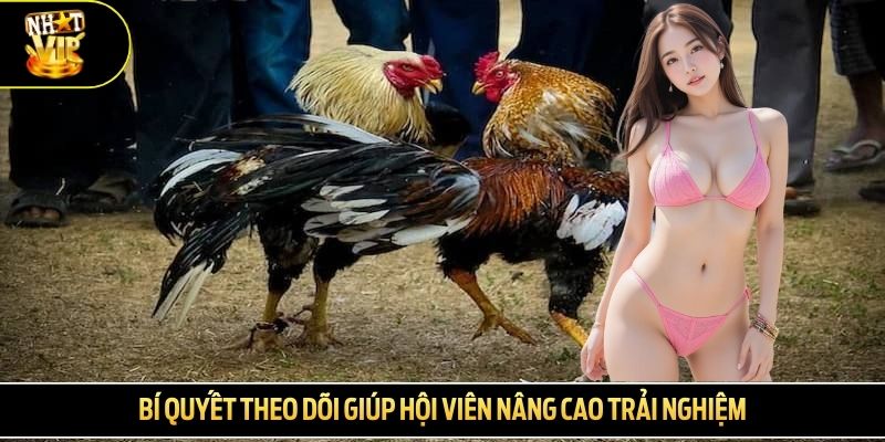Bí quyết theo dõi giúp hội viên nâng cao trải nghiệm